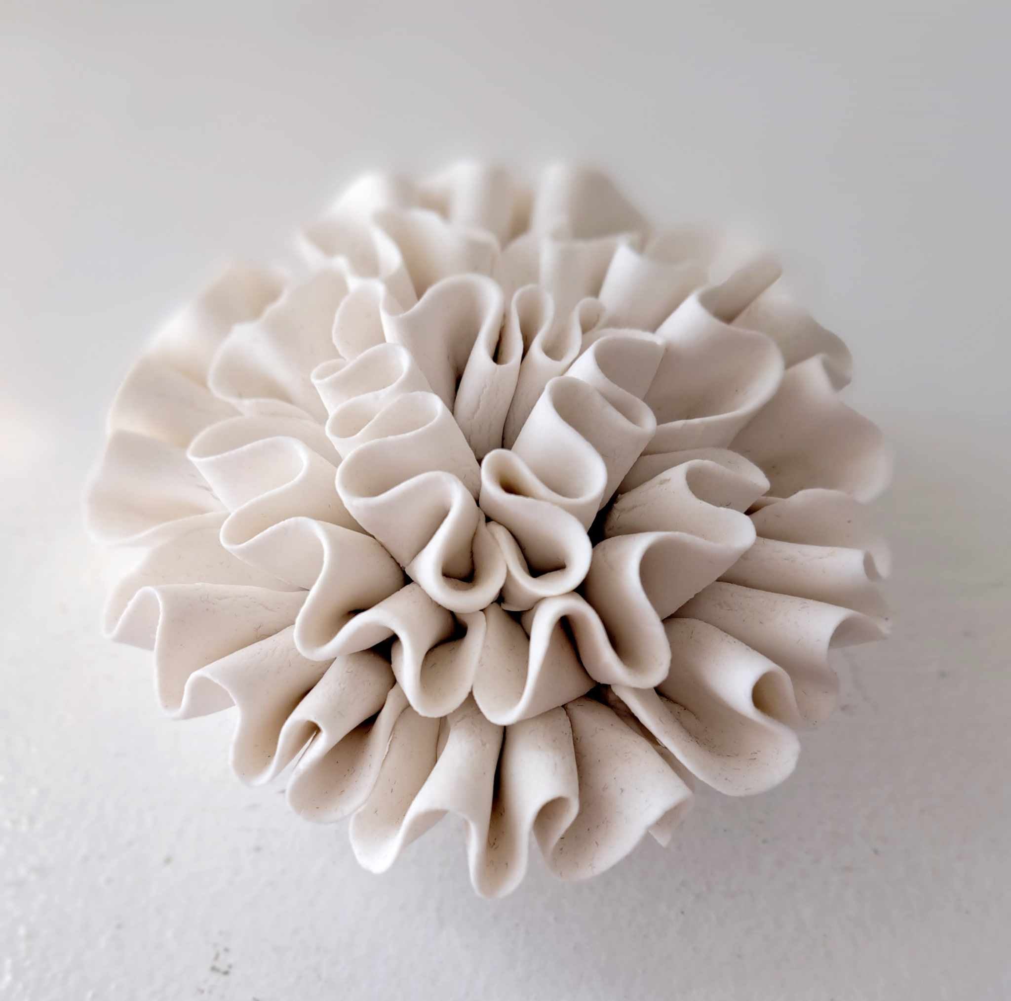 The Cottage Collection | White Ceramic Flower 8/6cmcm